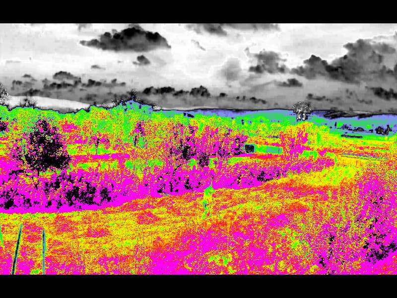 Doing Plant Analysis