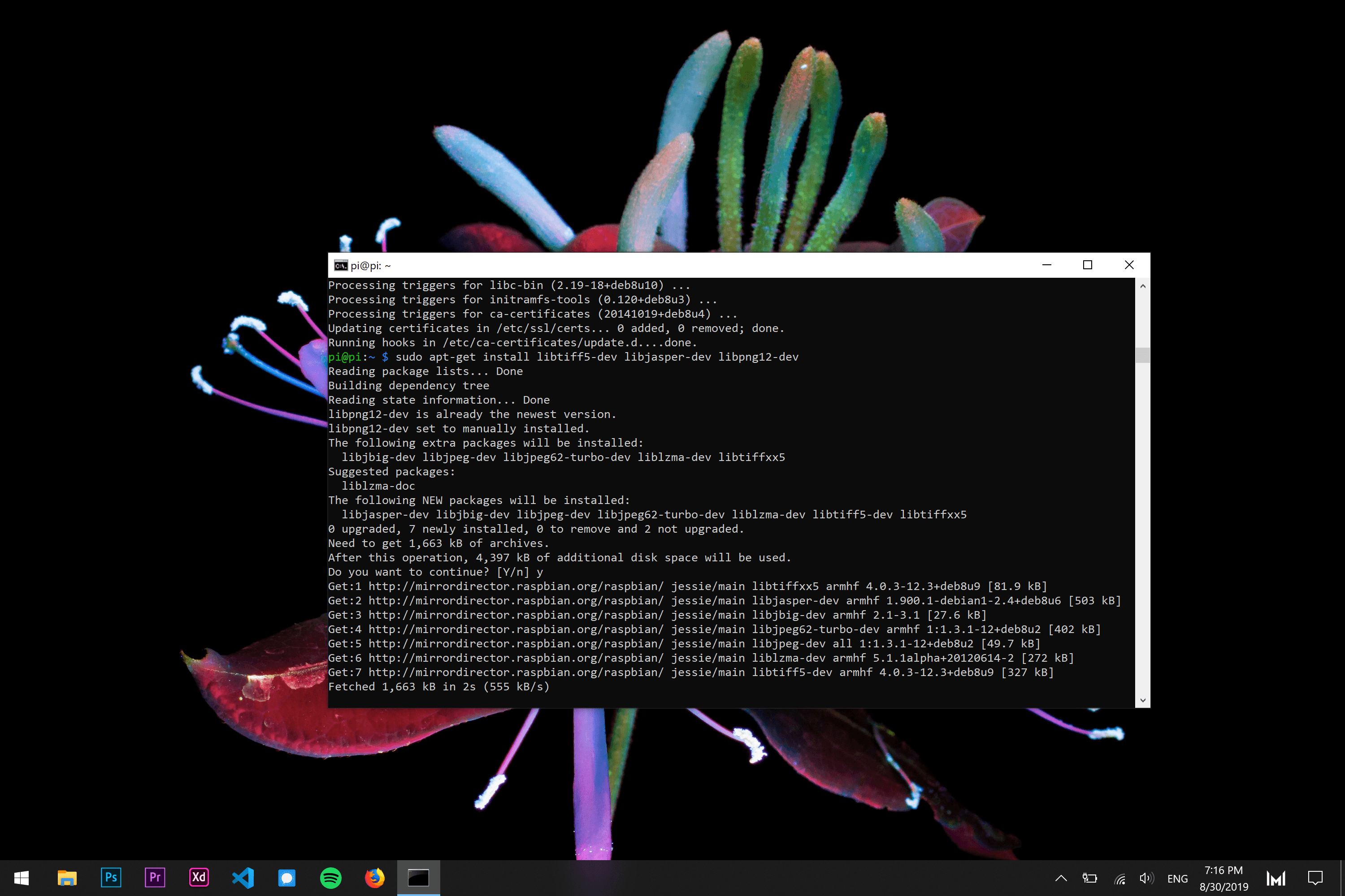 Choose a Raspberry and Install Raspbian (Jessie)