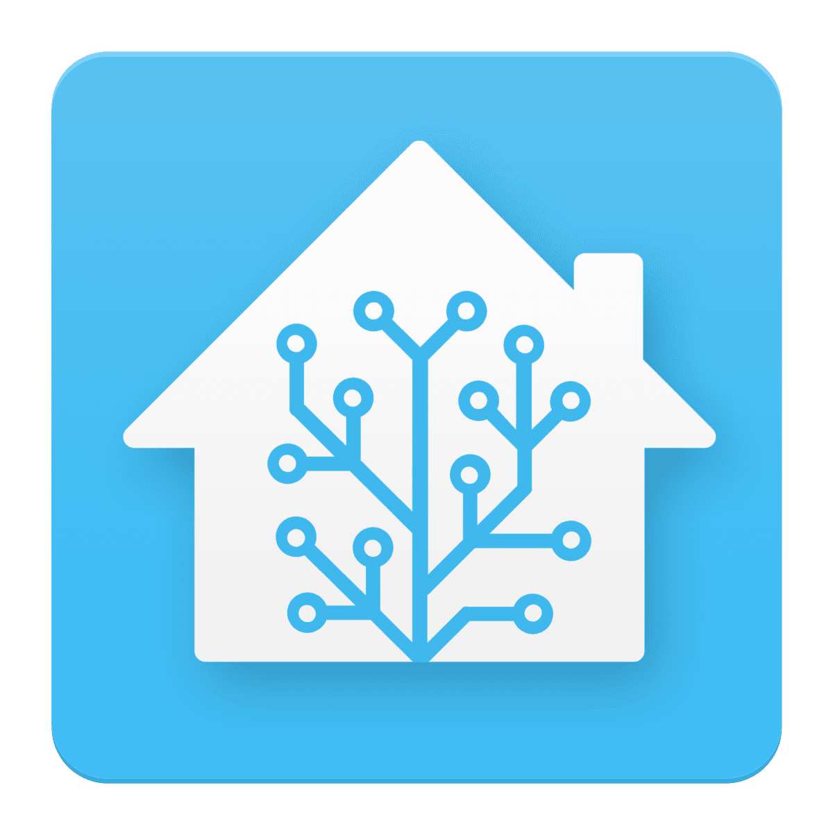 Install/Setup Home Assistant