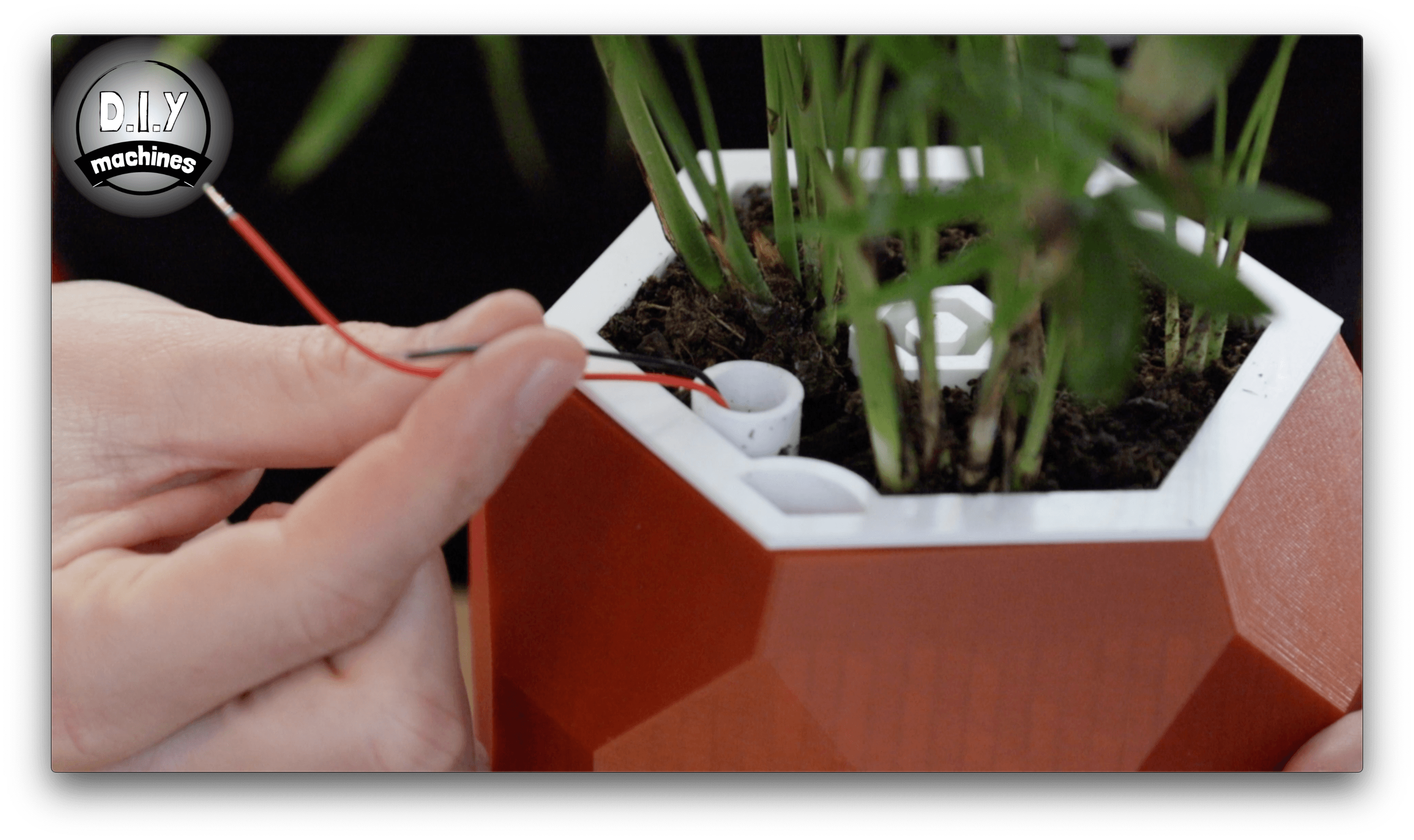 Connect Moisture Sensor