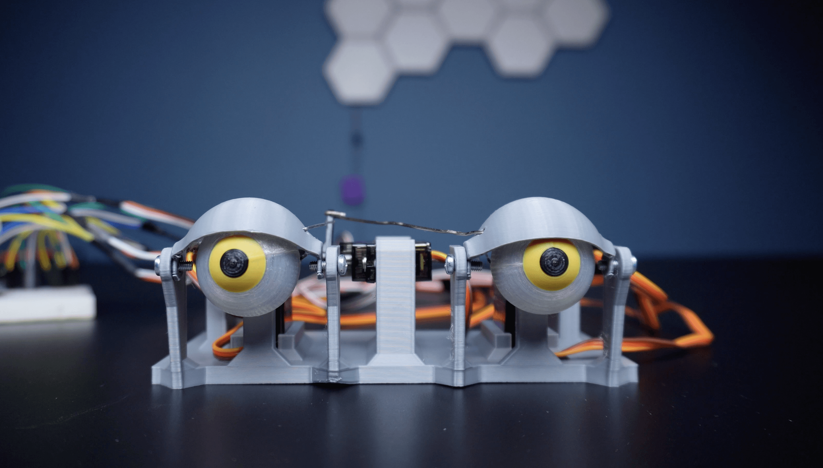 Testing the Animatronic Eyes