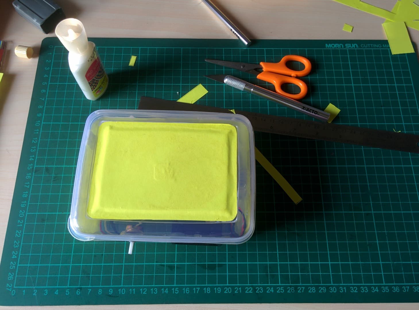 Decorate the Enclosure