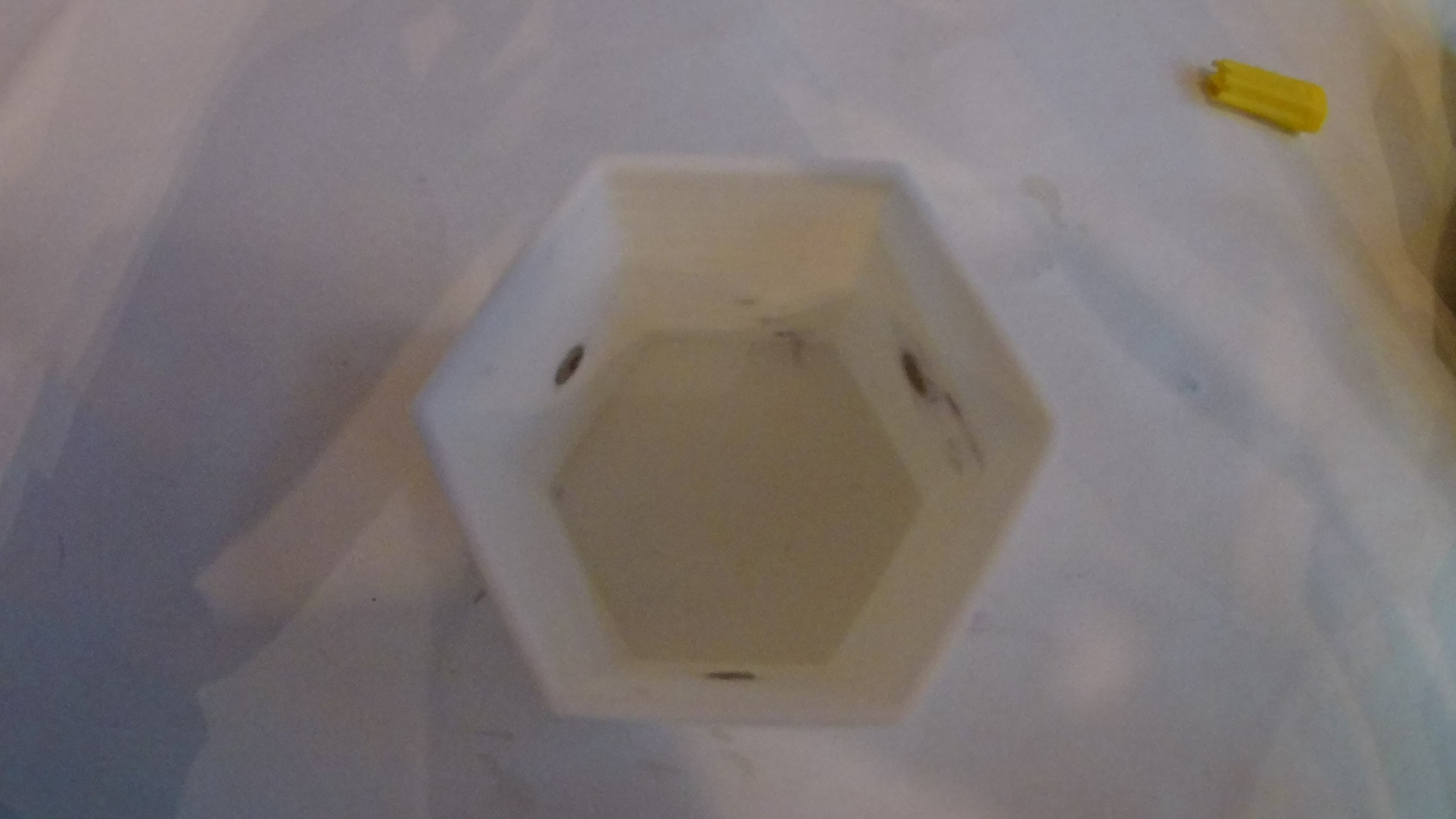 Gluing in the Magnets