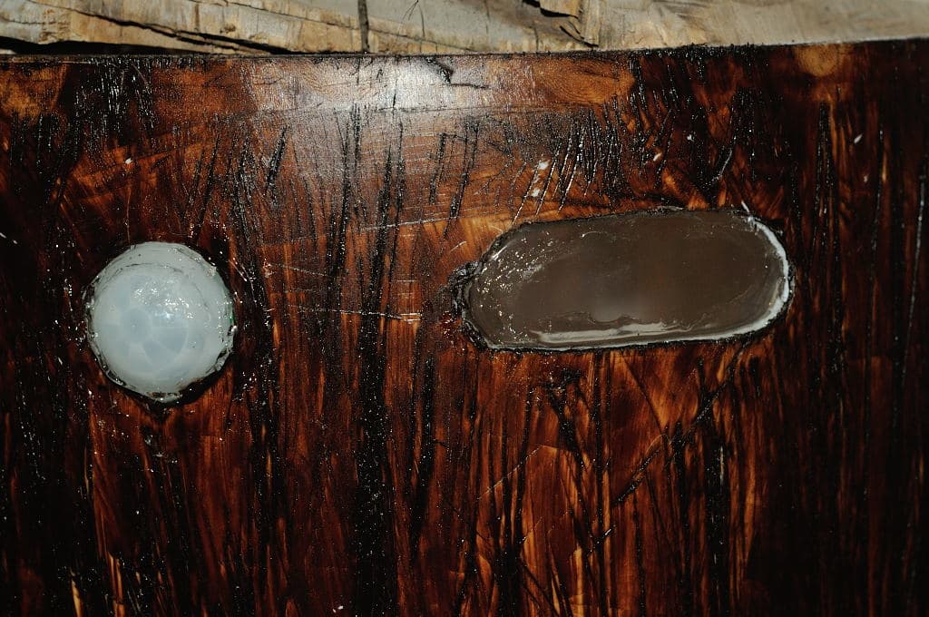 Glue Flash Plate and Sensor