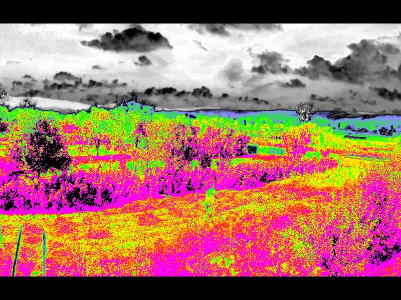 Doing Plant Analysis