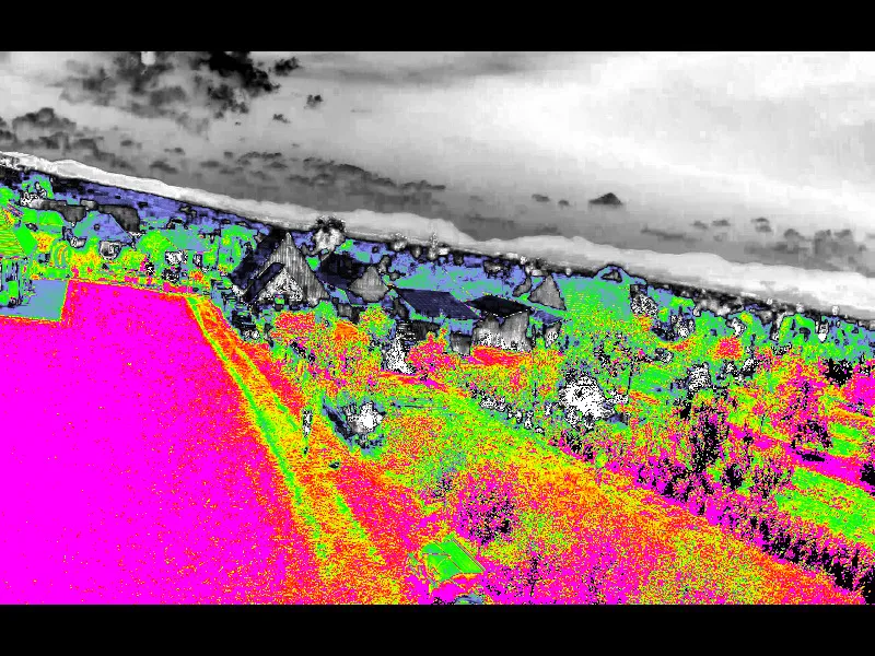 Doing Plant Analysis