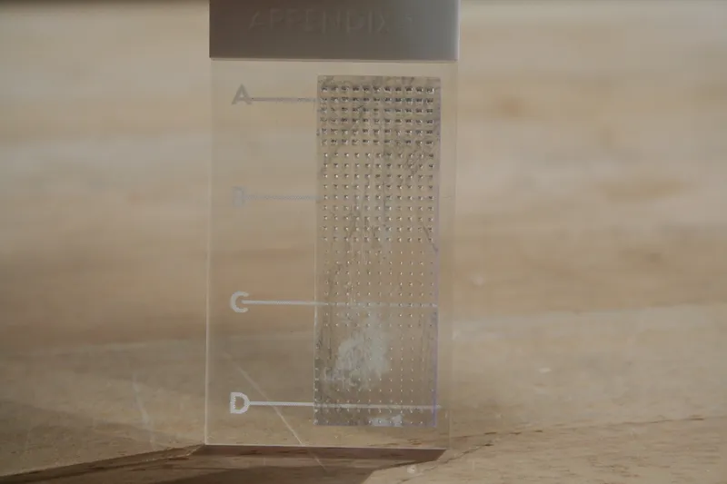 Appendix 1: Negative Space Study