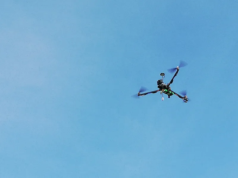 Doing Plant Analysis