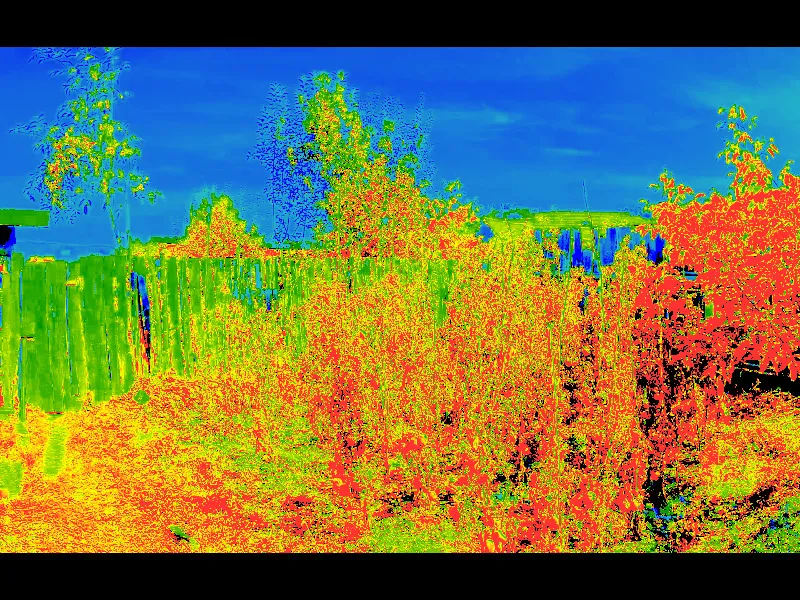 Testing the NoIR Camera and NDVI Imaging