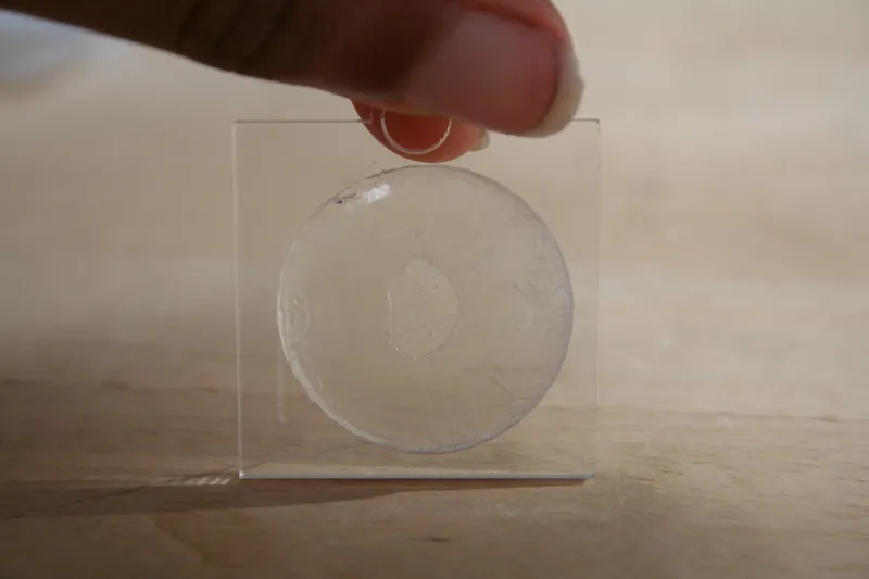 Appendix  2: Print Orientation Study