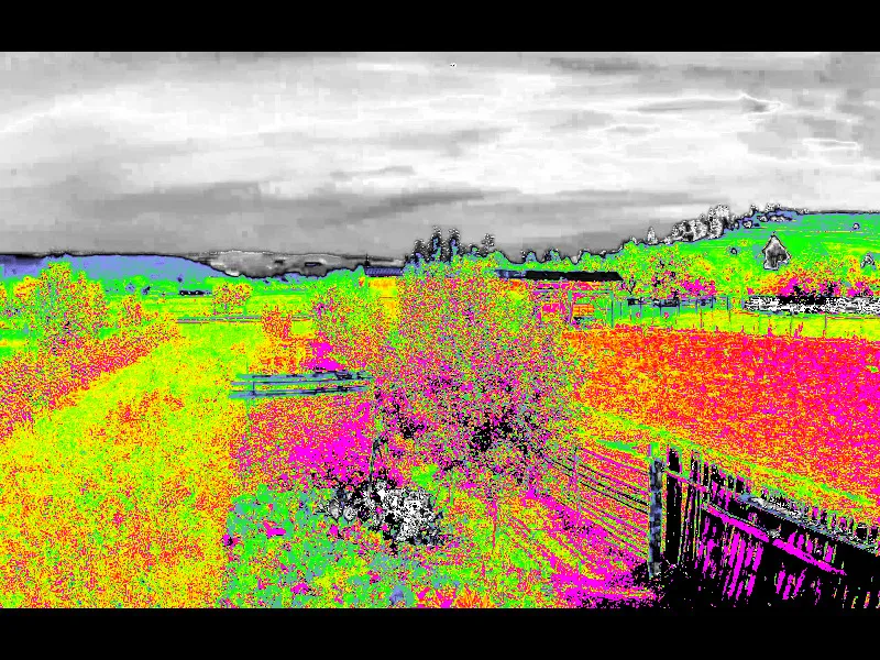 Doing Plant Analysis