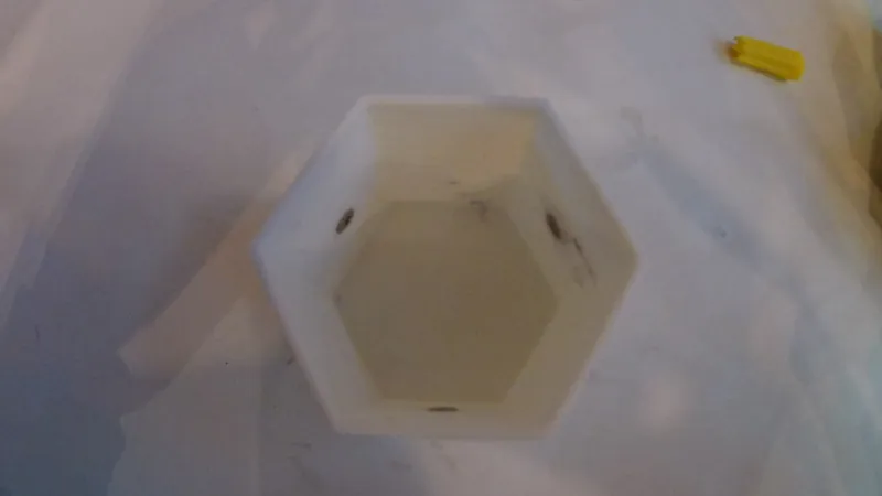 Gluing in the Magnets