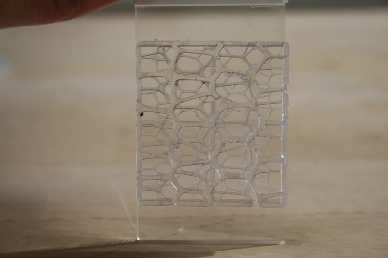 Appendix 4 & 5: Resolution Studies