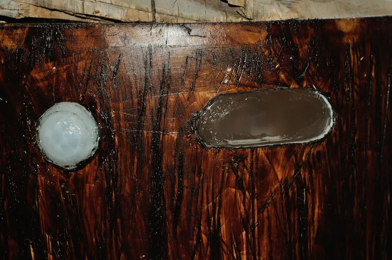 Glue Flash Plate and Sensor