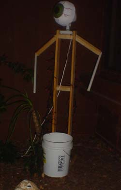 Build the Armature...