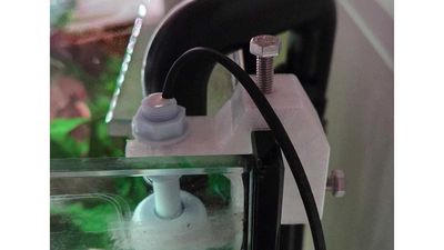 Water level sensor mount